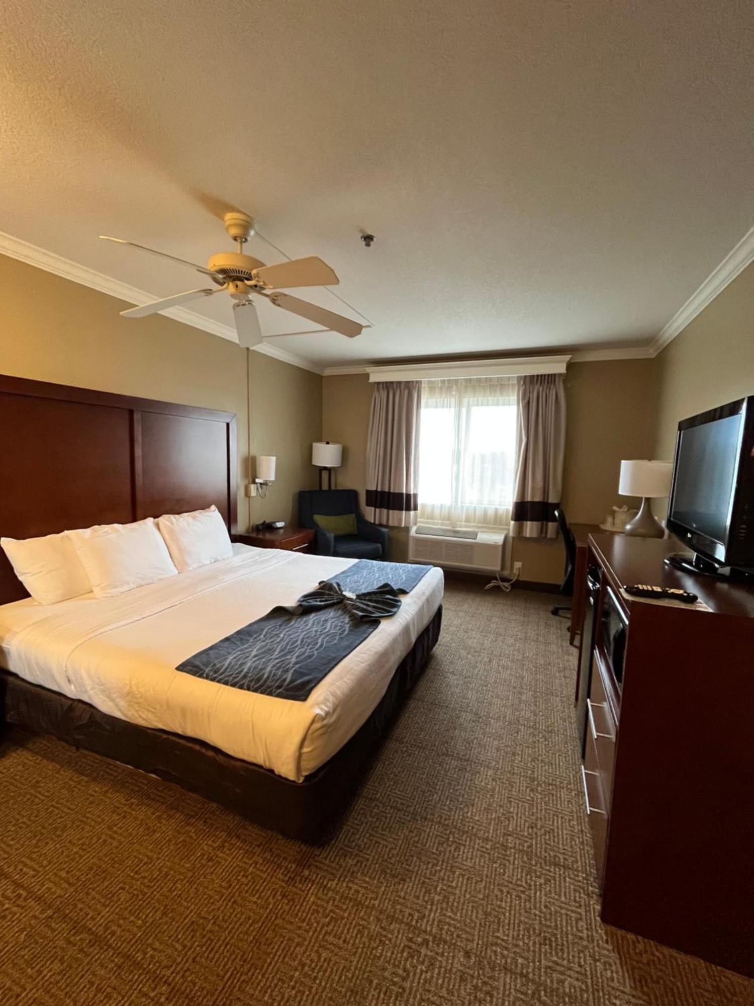 Comfort Inn & Suites Оушън Шорс Екстериор снимка