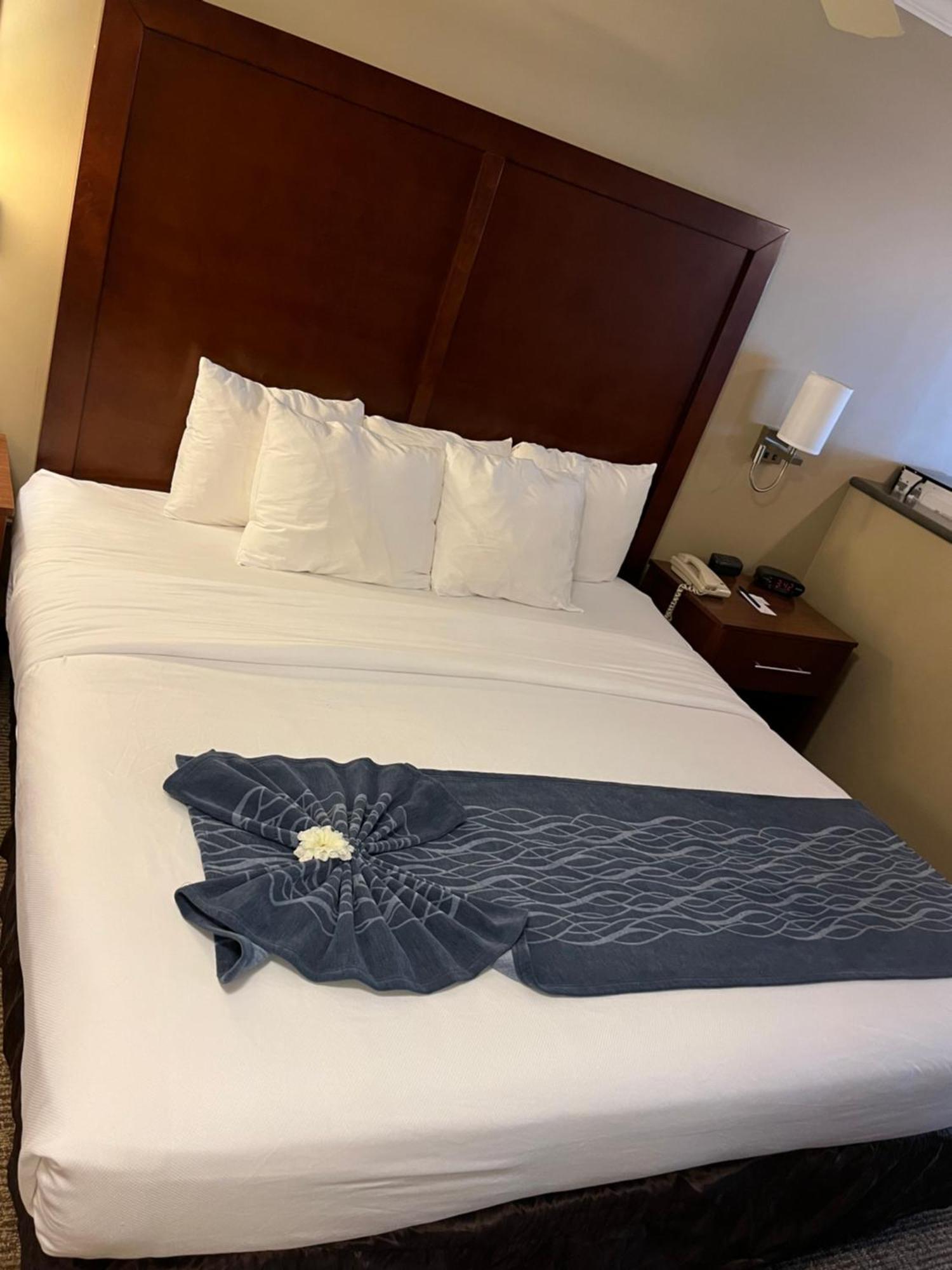 Comfort Inn & Suites Оушън Шорс Екстериор снимка