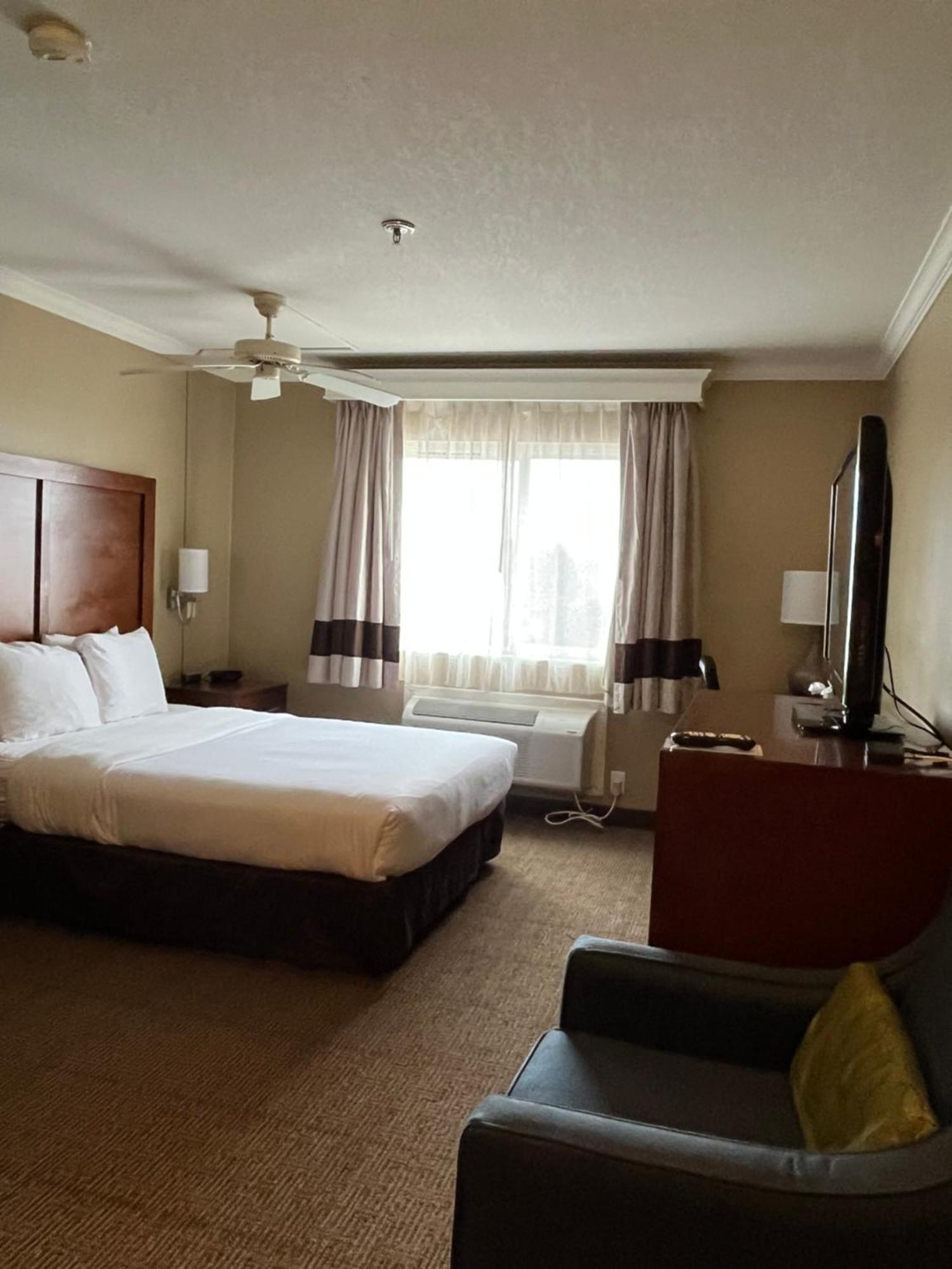 Comfort Inn & Suites Оушън Шорс Екстериор снимка
